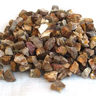 Petrified Wood Gem Decor rough