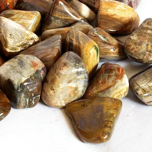Petrified wood tumbled stone