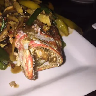 Snapper