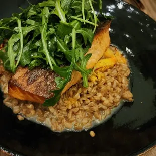 Salmon Risotto