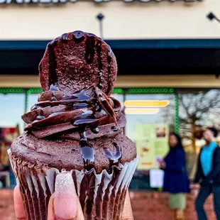 a hand holding a chocolate cupcake