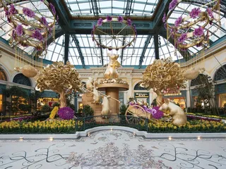 Bellagio Conservatory & Botanical Garden