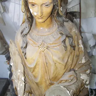 Mardi C.