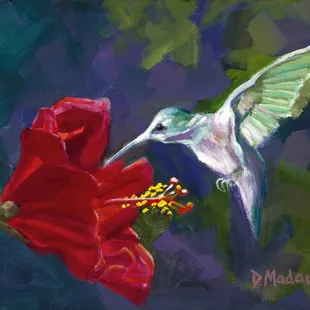 "Hummingbird and the Hibiscus" by Diana Madaras