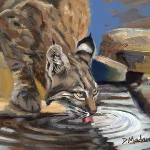 "Bobcat at the Pool" by Diana Madaras