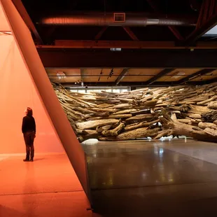 Artist Alison Stigora stands in her installation "SALVAGE" from Fall 2022.