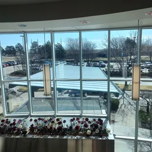 Top view of the canopy