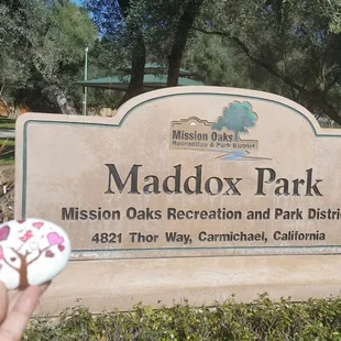 Walking the dog and rocking out the park #rocksforryan