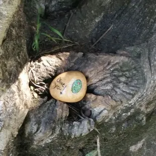 Olive you #rocksforryan