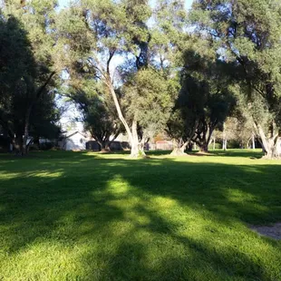 Park area near playground