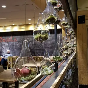 a row of hanging glass terrariums