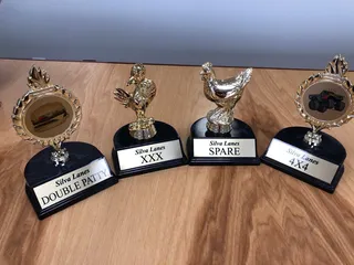 The Recognition Place