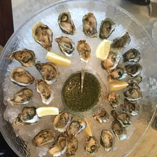 Oysters on the half shell