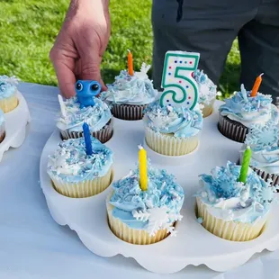 Frozen theme cupcakes