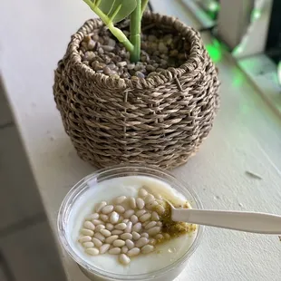 Ashta - rose water and pistachio pudding - uniquely delicious