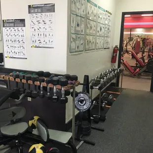 Gyms