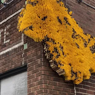 a beehive on a brick building