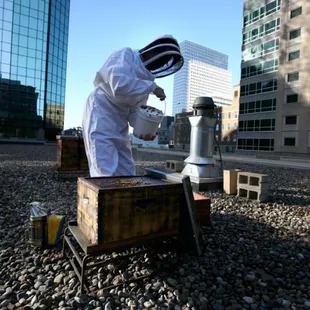 Rooftop Beekeeper