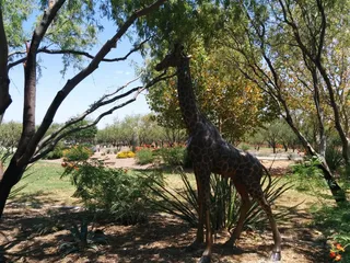 El Parque de Rio Safari Park