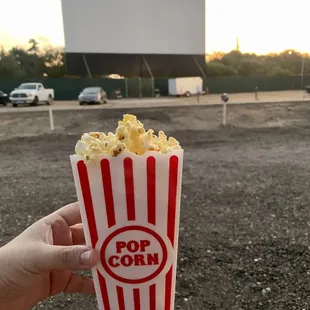 Gonna watch Halloween.