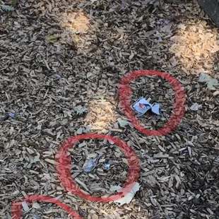 Broken glass at park