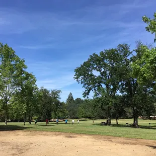 Gorgeous day to be at the park