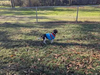 Pecan Park