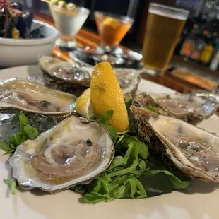 Fresh oysters