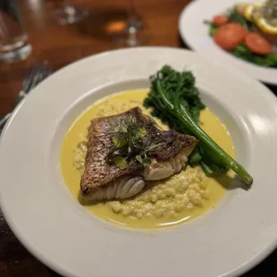 American Red Snapper