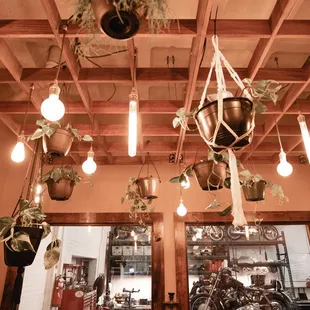 A view of the Motorcycle Shop Window, and the trellis that hangs above the dining room.
