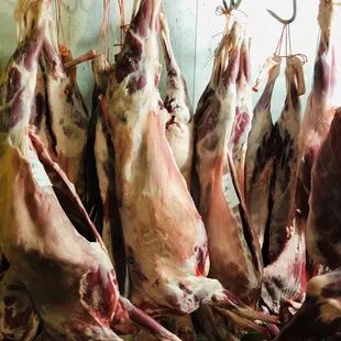 Halal baby good meat