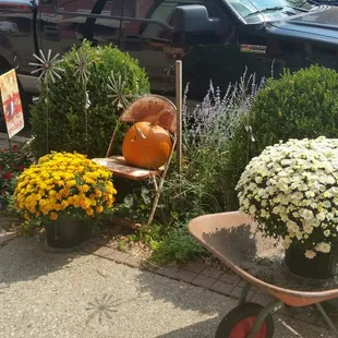 More stunning gardens