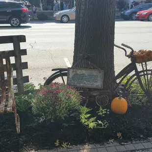 Love the time and energy invested in the landscaping.