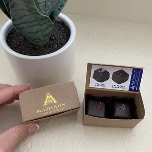 Wedding favor