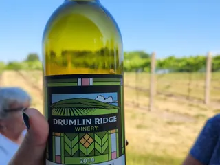 Drumlin Ridge Winery