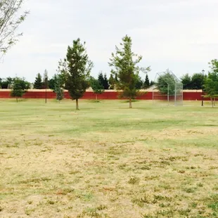 Large field for sports