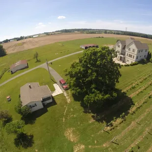 aerial view of farm and vineyard