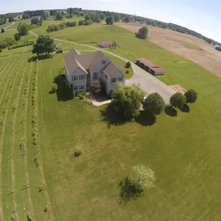 the aerial view of the estate