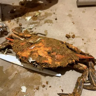 food, ribs, bbq ribs