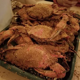 Fat crabs