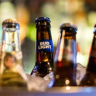bottles of bud light
