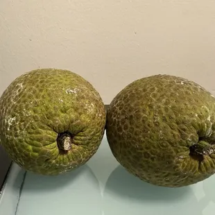 Breadfruit  Deevi halasu or Gujjekai or Deegujje in Kannada language