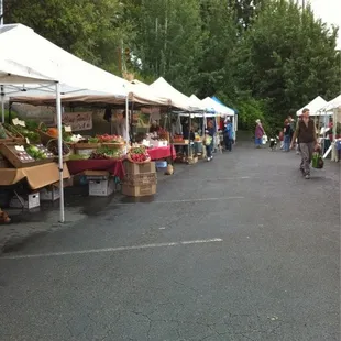 people shopping in the market