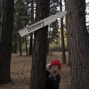 Directions to a brewery! That also has amazing apple cider donuts