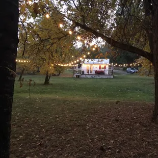 Lights in the meadow