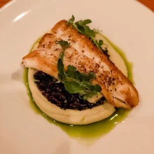 Seafood special of the day