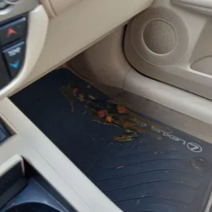 the interior of a car