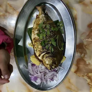 Pomfret fry
