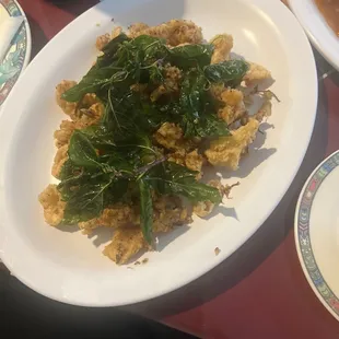 Squid 61. Calamari Special