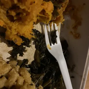 Meal I was eating when I discovered a bug in it